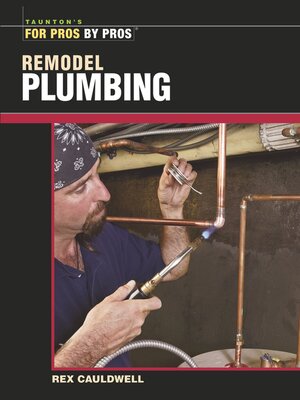 cover image of Remodel Plumbing